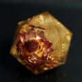 Hexagonal crystal with internal floral structure on a dark background